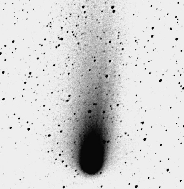 Halley_Comet-closeup-neg