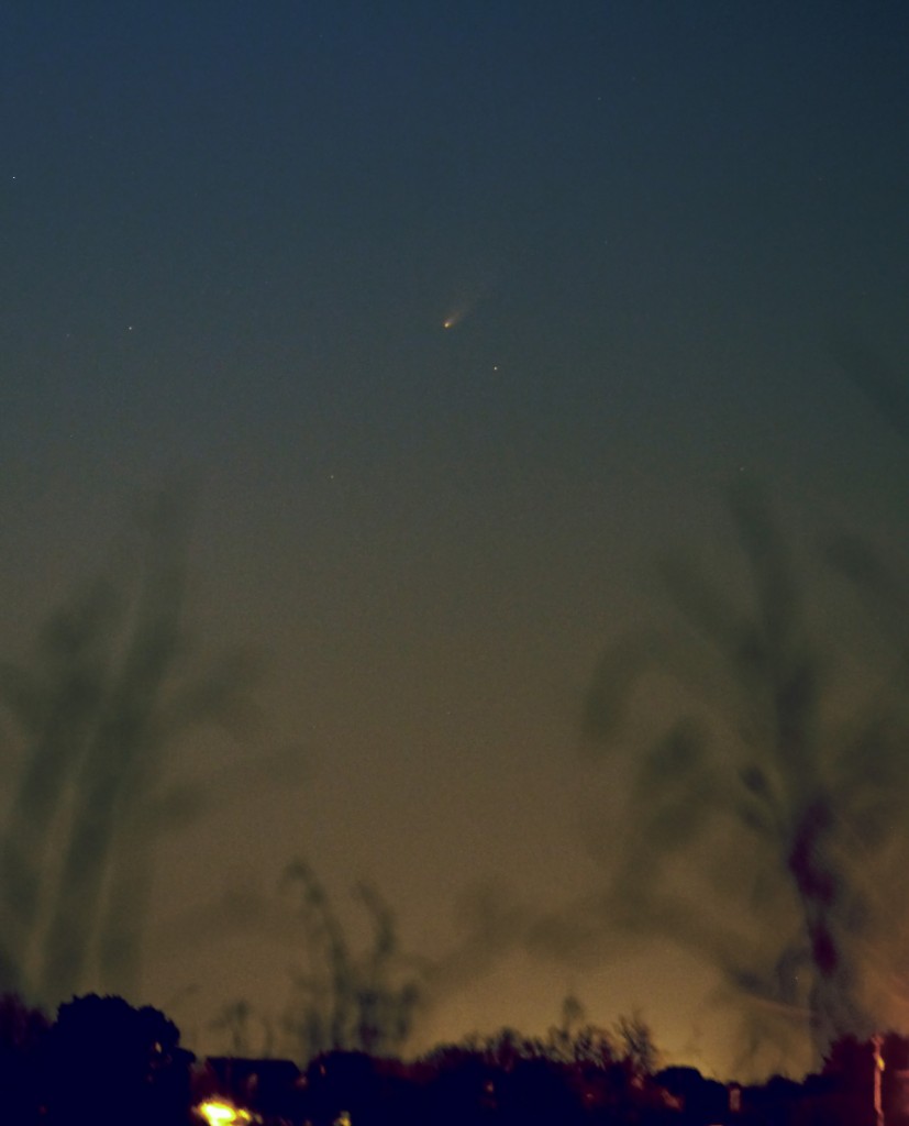 Comet Pan-STARRS, March 25, 2013.  1x8 sec @ ISO 800.
