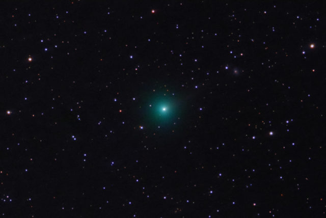 Comet 62P/Tsuchinshan, Jan 10th, 2024.   45x180 sec, QHY294C at -10C, Antlia Triband filter, Astro-Tech AT60ED at F/4.8.