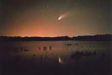 Comet Hale-Bopp's Reflection in a Louisiana Crawfish Pond